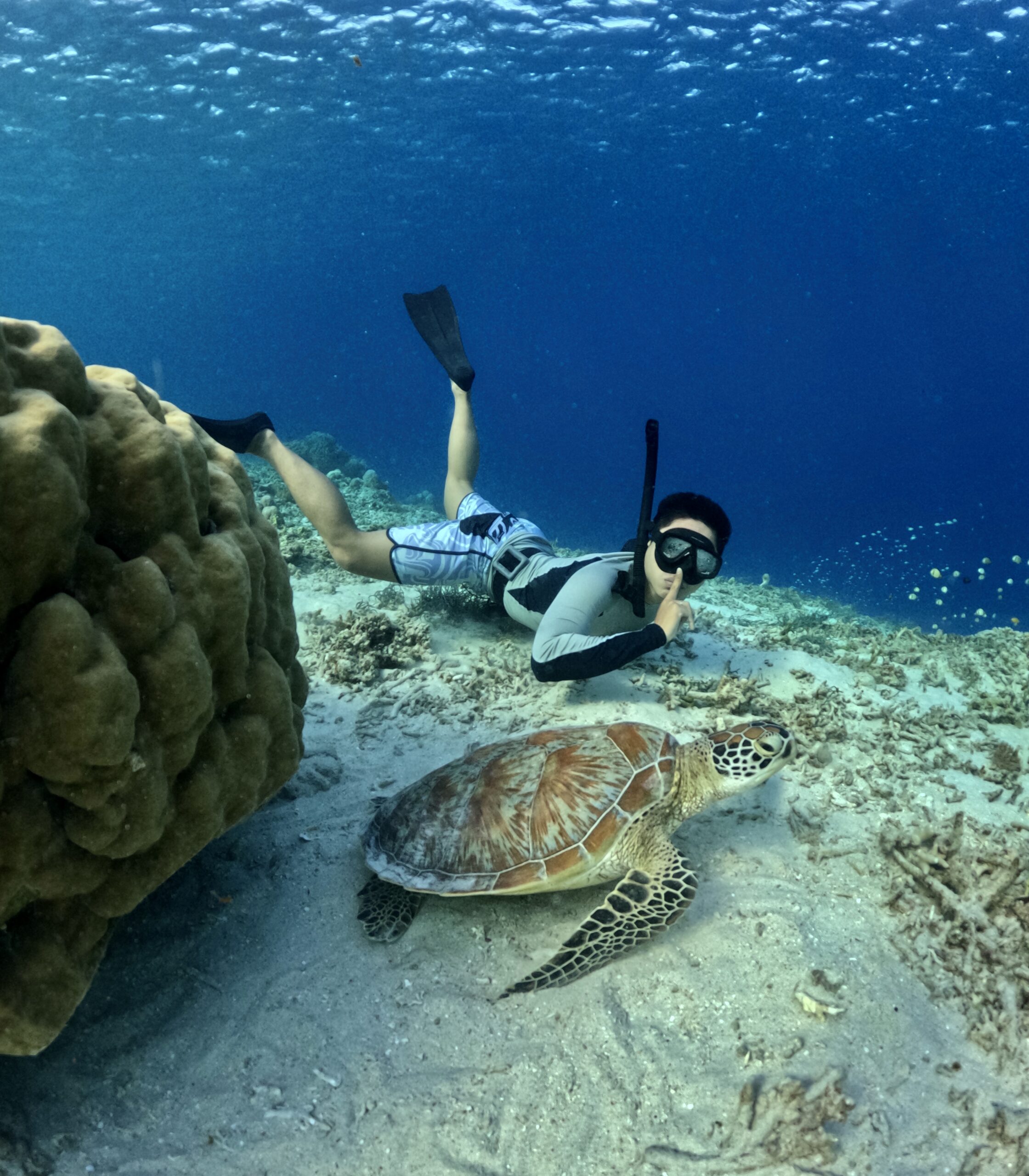 Snorkeling at Blue Lagoon & Tanjung Jepun – Private Trip